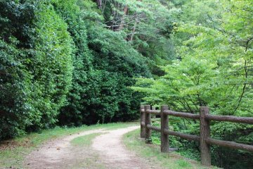 Down the road