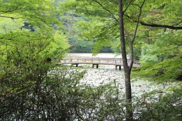 Bridge