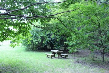 Bench
