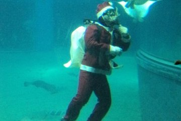 Even Santa is there!