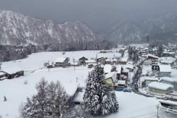 View from the restaurant
