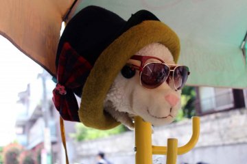 This happy lamb greets passerbys.