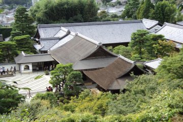 A view from the garden