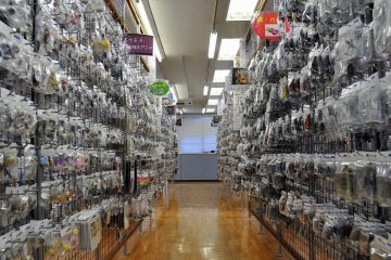 Rows and rows of tiny figurines