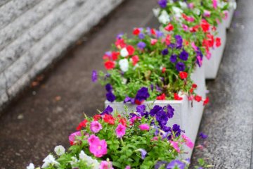 Neat flowerbeds lining the streets