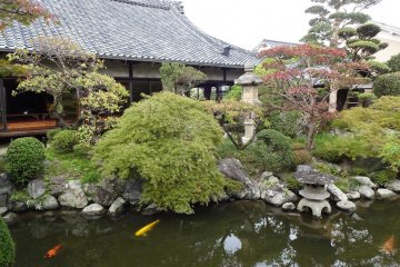 Beautiful Enkutei garden