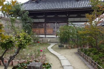 Passing through roses when approaching one of several temple buildings