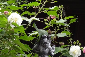 Who is sitting there in the rose bush?