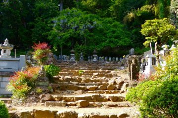 At the top of these steps you will find the mysterious wisteria...but be careful...