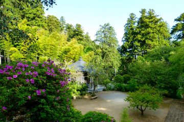 Daichu-ji Temple is calm and tranquil