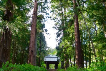 Entrance to Daichu-ji Temple