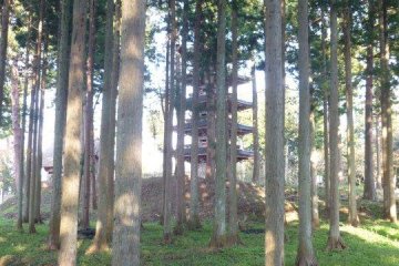 Myosenji camouflaged among the tall cedars that surround it