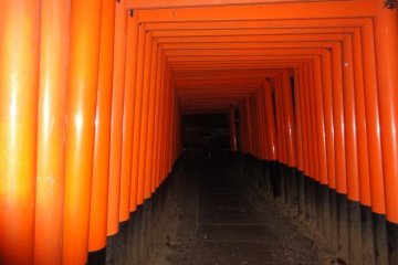 <p>Fushimi Inari at night</p>