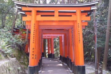 <p>Fushimi Inari at Day</p>