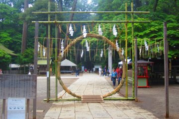 Forest Sanctuary