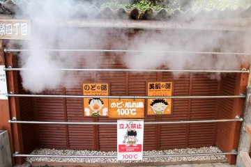 Throat and face skin steam bath