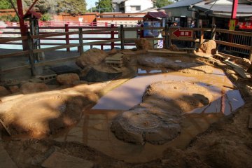 Thermal mud pond at 80 degrees Celsius