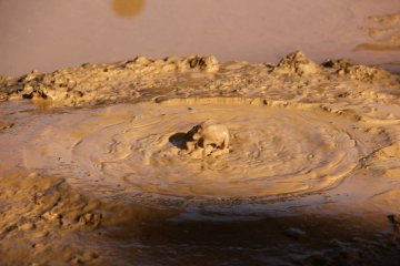 Small muddy bubble bursts
