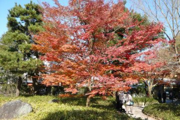 The grounds of Byodoin