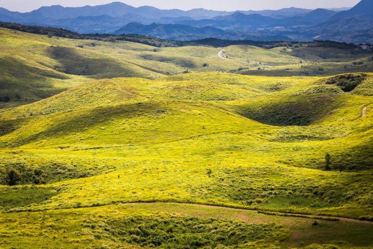 The green moonscape-like scenery of Akiyoshidai Plateau with sinkhole craters in summer