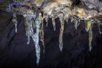 Stalactites grow at a pace of 2 cm (just under an inch) per 250 years; these are the length of a car