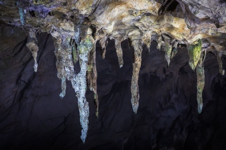 Stalactites grow at a pace of 2 cm (just under an inch) per 250 years; these are the length of a car