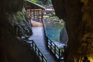 Entrace viewed from the Adventure Course