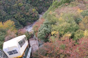 Iya Onsen Cable Car Plunging into the Foliage ©Larisa Amaya-Baron