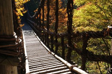 Iya Valley Gorge Vine Bridge ©Larisa Amaya-Baron