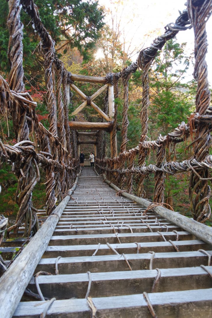Iya Valley Gorge Vine Bridge Reminds Us That Nature is Greater Than We Are ©Larisa Amaya-Baron