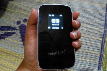 <p>Small enough to fit into the palm of your hand</p>