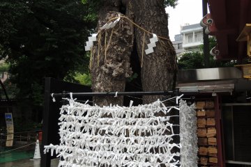 The tree itself that is also a shrine