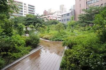Garden by the side of the shrine