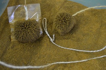 <p>Local sand taken from the&nbsp;Kuji&nbsp;area that contains iron. This is clearly demonstrated when the sand is touched directly with a magnet.&nbsp; &nbsp;&nbsp;</p>