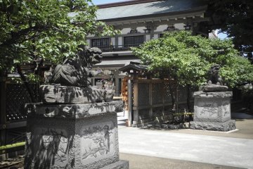 The Gate