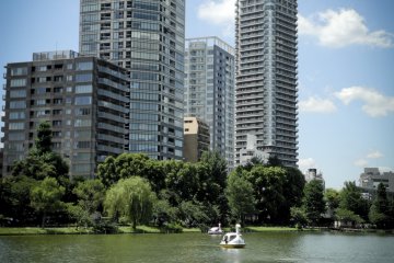 Ueno Condos