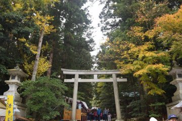 Autumn at Yahiko Shrine