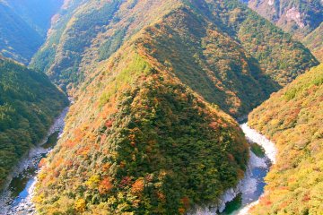 Musim Gugur di Shikoku
