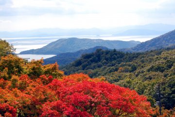 Beautiful view from Shodoshima