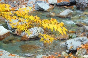 Autumn at its best