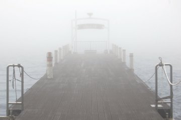 The fog at the lake was absolutely beautiful