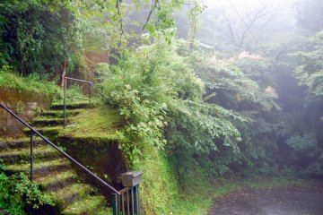 Green scenery
