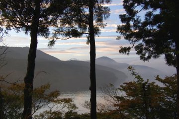 Perfect view