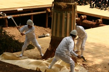 Misomahajime, the felling of a tree for the Ise Grand Shrine