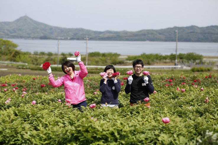 Peony and Nakaumi