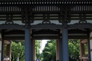 A gate close up.
