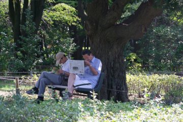 Local residents come here just to relax and enjoy the tranquil, peaceful feeling.