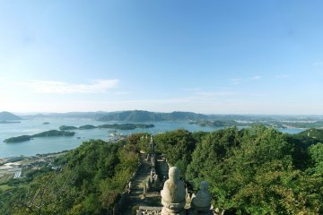 View from the observatory