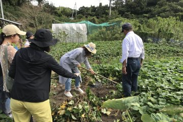 Farming experience
