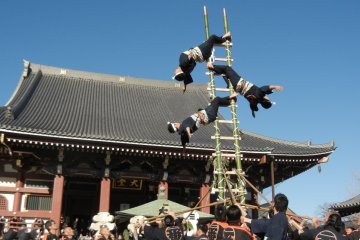 Hashigo-nori 2027